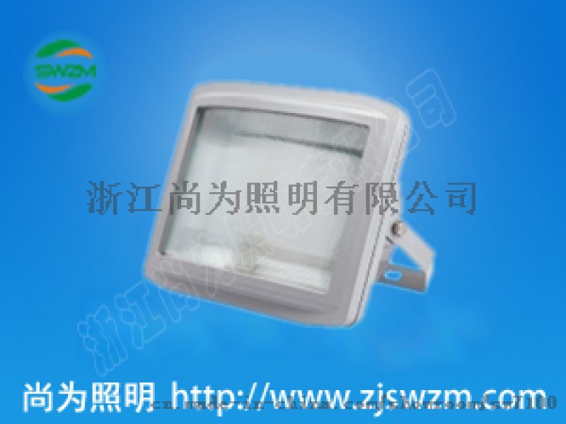 sw7220泛光 sw7220道路金卤灯照明