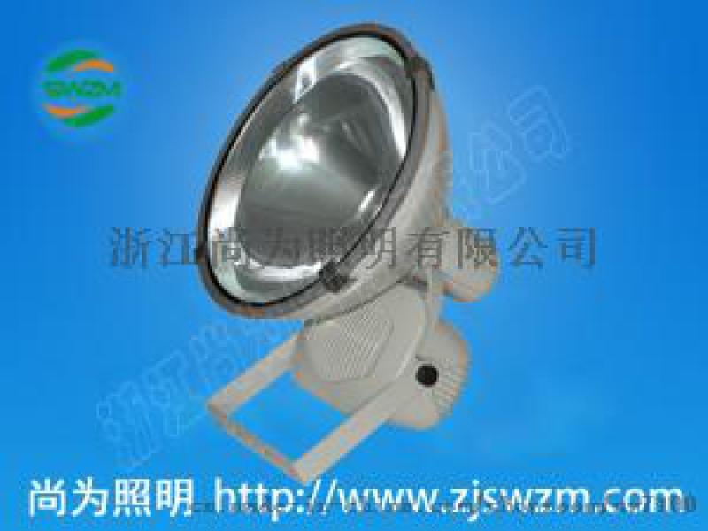 sw7501投光灯sw7501厂房400W250W